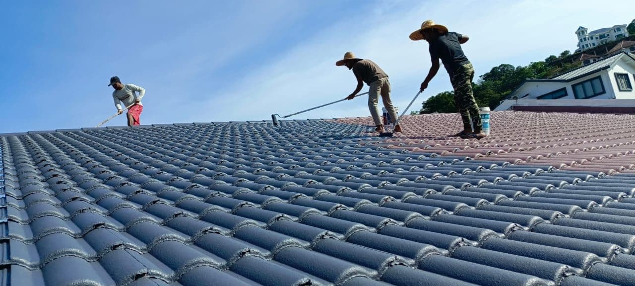 Roof Waterproof and Painting